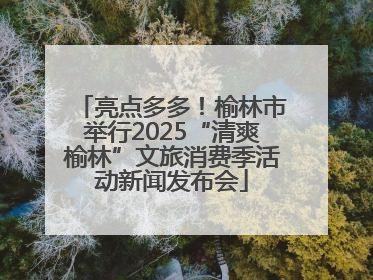 亮点多多！榆林市举行2025“清爽榆林”文旅消费季活动新闻发布会