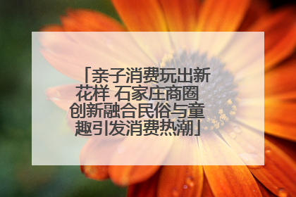 亲子消费玩出新花样 石家庄商圈创新融合民俗与童趣引发消费热潮