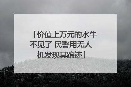 价值上万元的水牛不见了 民警用无人机发现其踪迹