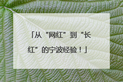 从“网红”到“长红”的宁波经验！