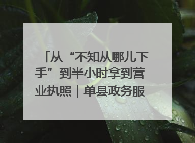 从“不知从哪儿下手”到半小时拿到营业执照｜单县政务服务与群众期待的“双向奔赴”