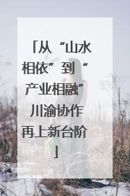 从“山水相依”到“产业相融” 川渝协作再上新台阶