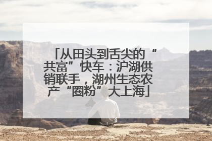 从田头到舌尖的“共富”快车：沪湖供销联手，湖州生态农产“圈粉”大上海