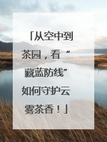 从空中到茶园，看“藏蓝防线”如何守护云雾茶香！