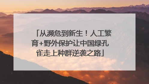 从濒危到新生！人工繁育+野外保护让中国绿孔雀走上种群逆袭之路