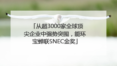 从超3000家全球顶尖企业中强势突围，能环宝蝉联SNEC金奖