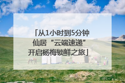 从1小时到5分钟 仙居“云端速递”开启杨梅锁鲜之旅