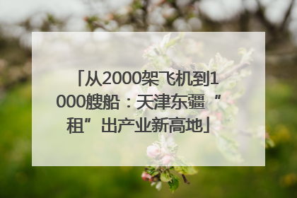 从2000架飞机到1000艘船：天津东疆“租”出产业新高地