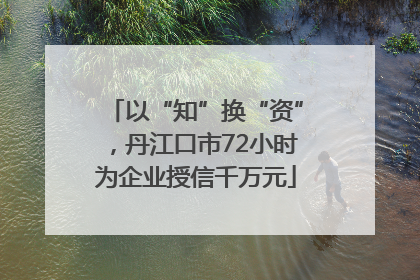 以“知”换“资”，丹江口市72小时为企业授信千万元