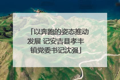 以奔跑的姿态推动发展 记安吉县孝丰镇党委书记沈强
