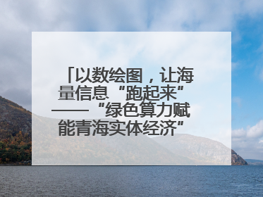 以数绘图，让海量信息“跑起来”——“绿色算力赋能青海实体经济”系列报道①