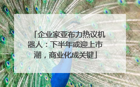 企业家亚布力热议机器人：下半年或迎上市潮，商业化成关键