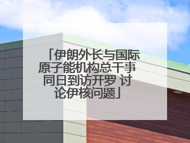 伊朗外长与国际原子能机构总干事同日到访开罗 讨论伊核问题