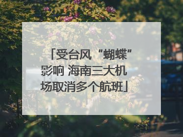 受台风“蝴蝶”影响 海南三大机场取消多个航班