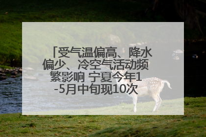 受气温偏高、降水偏少、冷空气活动频繁影响 宁夏今年1-5月中旬现10次定级沙尘天气过程