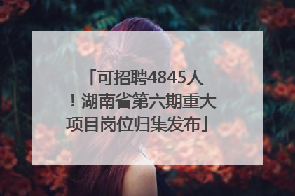 可招聘4845人！湖南省第六期重大项目岗位归集发布