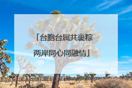 台胞台属共裹粽 两岸同心同融情