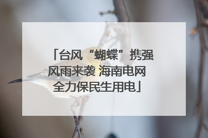 台风“蝴蝶”携强风雨来袭 海南电网全力保民生用电