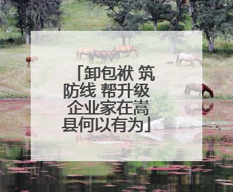 卸包袱 筑防线 帮升级 企业家在嵩县何以有为