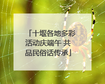 十堰各地多彩活动庆端午 共品民俗话传承