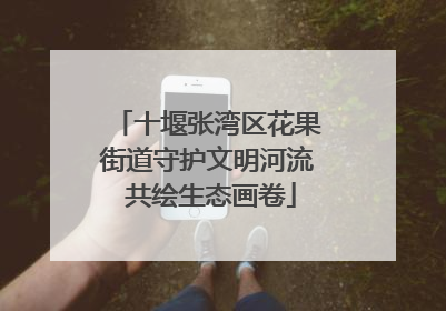 十堰张湾区花果街道守护文明河流 共绘生态画卷