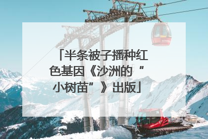 半条被子播种红色基因《沙洲的“小树苗”》出版
