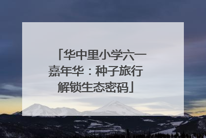 华中里小学六一嘉年华：种子旅行解锁生态密码