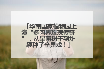华南国家植物园上演“多肉界玫瑰传奇”，从呆萌树干到炸裂种子全是戏！