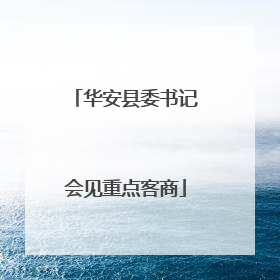 华安县委书记会见重点客商