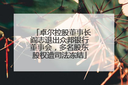 卓尔控股董事长阎志退出众邦银行董事会，多名股东股权遭司法冻结