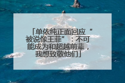 单依纯正面回应“被说像王菲”：不可能成为和超越前辈，我想致敬他们