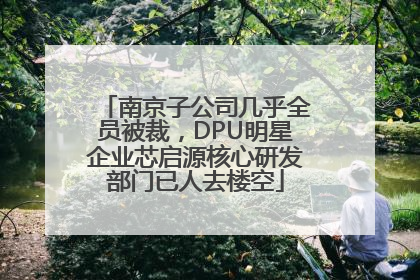 南京子公司几乎全员被裁，DPU明星企业芯启源核心研发部门已人去楼空