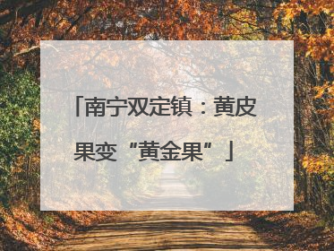 南宁双定镇：黄皮果变“黄金果”