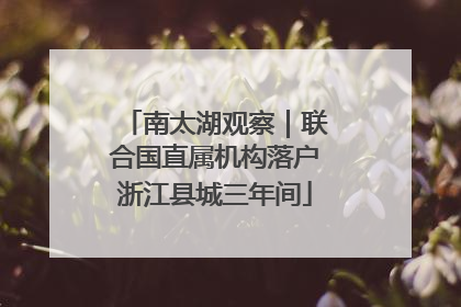 南太湖观察｜联合国直属机构落户浙江县城三年间