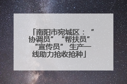 南阳市宛城区：“协调员”“帮扶员”“宣传员” 生产一线助力抢收抢种