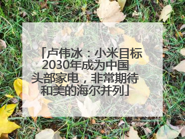 卢伟冰：小米目标2030年成为中国头部家电，非常期待和美的海尔并列