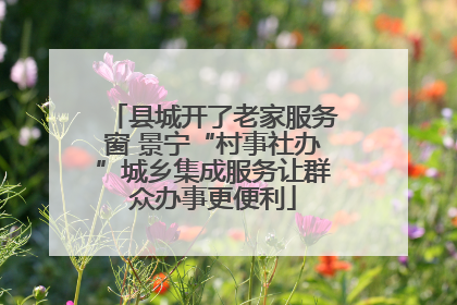 县城开了老家服务窗 景宁“村事社办”城乡集成服务让群众办事更便利