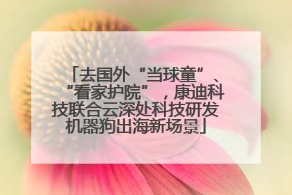 去国外“当球童”、“看家护院”，康迪科技联合云深处科技研发机器狗出海新场景