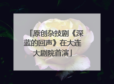 原创杂技剧《深蓝的回声》在大连大剧院首演