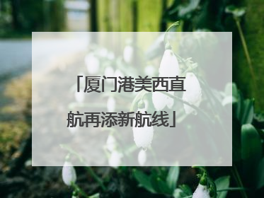厦门港美西直航再添新航线