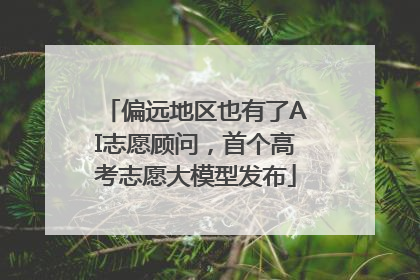 偏远地区也有了AI志愿顾问，首个高考志愿大模型发布