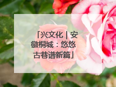 兴文化｜安徽桐城：悠悠古巷谱新篇