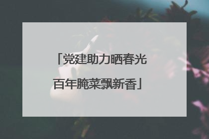 党建助力晒春光 百年腌菜飘新香