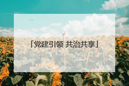 党建引领 共治共享