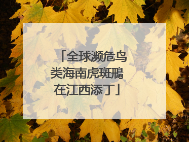 全球濒危鸟类海南虎斑鳽在江西添丁