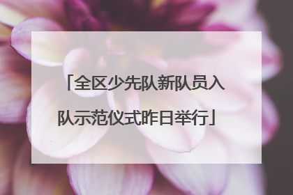 全区少先队新队员入队示范仪式昨日举行