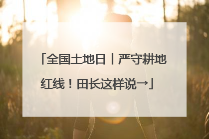 全国土地日丨严守耕地红线！田长这样说→