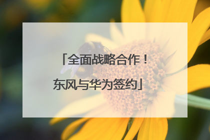 全面战略合作！东风与华为签约