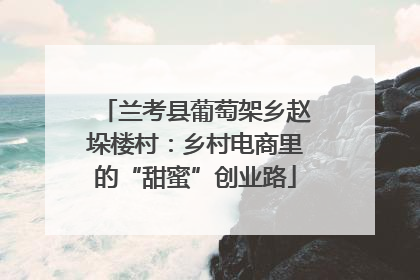 兰考县葡萄架乡赵垛楼村：乡村电商里的“甜蜜”创业路