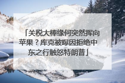 关税大棒缘何突然挥向苹果？库克被曝因拒绝中东之行触怒特朗普